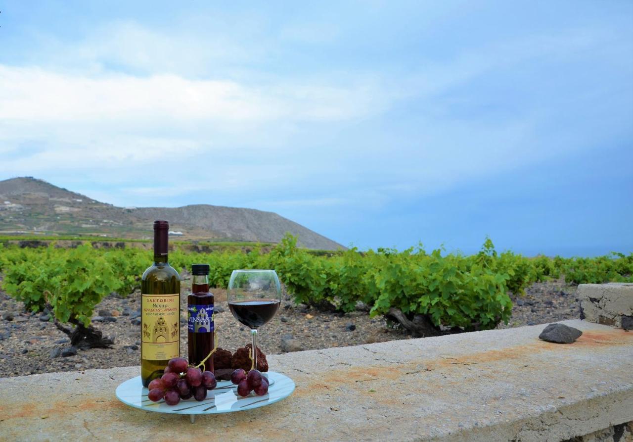 Vineyards Hill Villa Megalochori  Zewnętrze zdjęcie